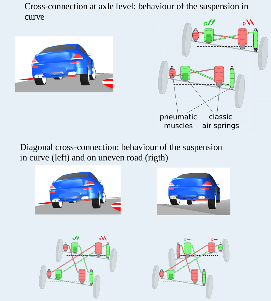 Suspension with pneumatic muscles in roll and warp condition