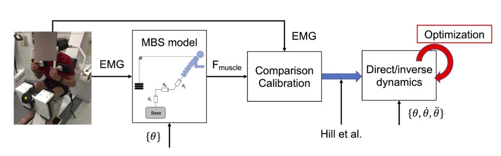 Flowchart describing a hybrid approach which lies on making the most of EMG signals to narrow the parameters space of a multibody system