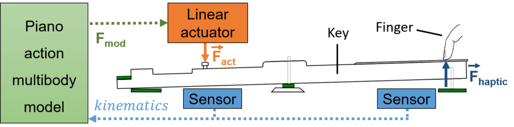 Haptic piano principle
